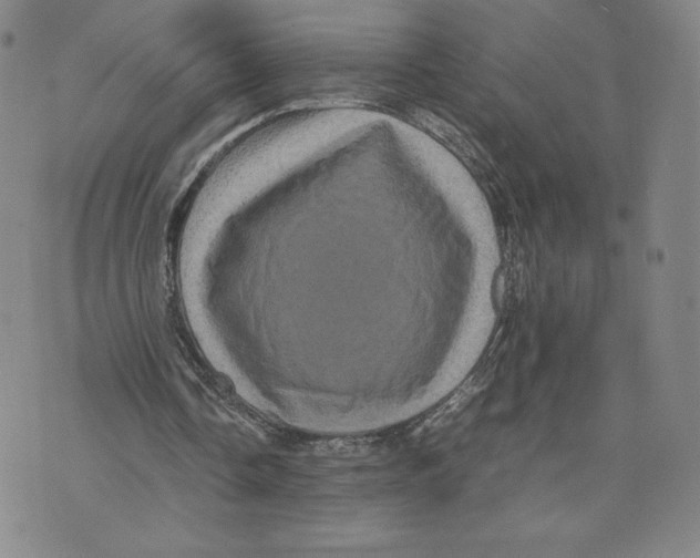 X0000070250338200606301631