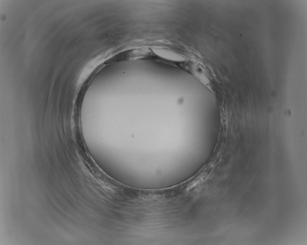 X0000070250340200606301631