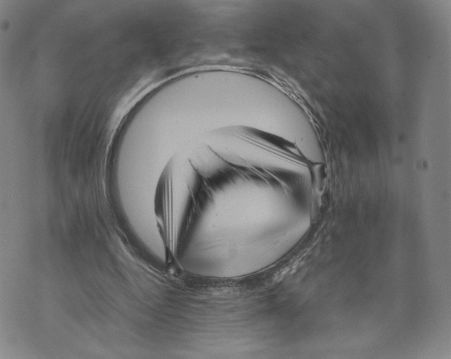 X0000070250344200606301631