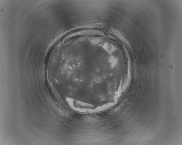 X0000070250346200606301631