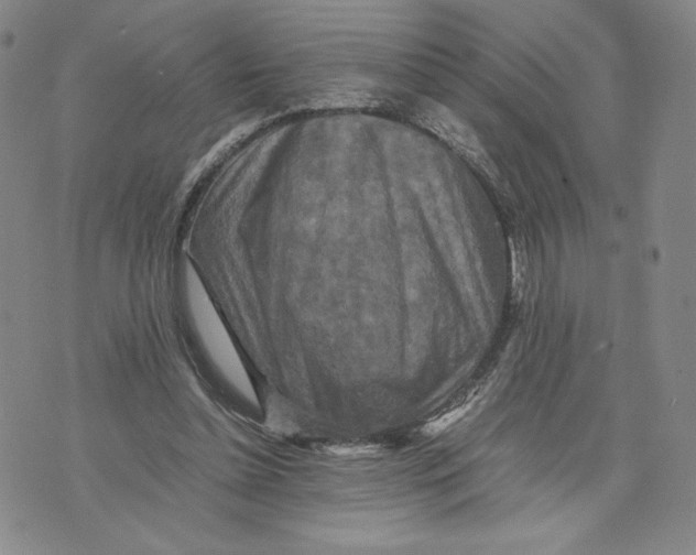 X0000070250348200606301631