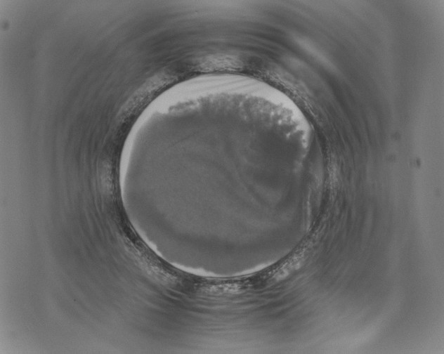 X0000070250353200606301631