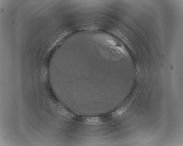 X0000070250355200606301631