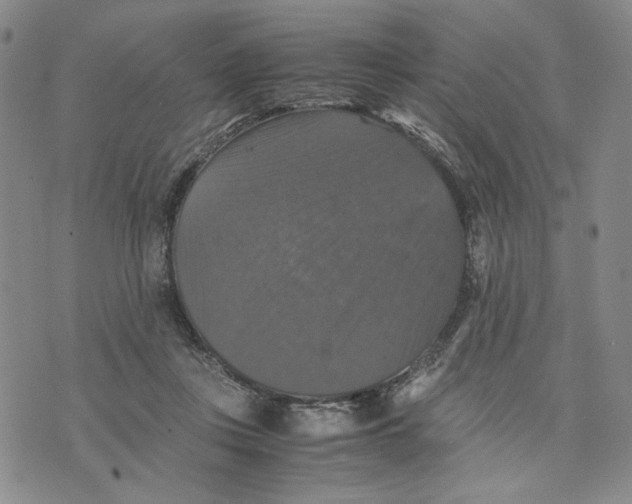 X0000070250359200606301631