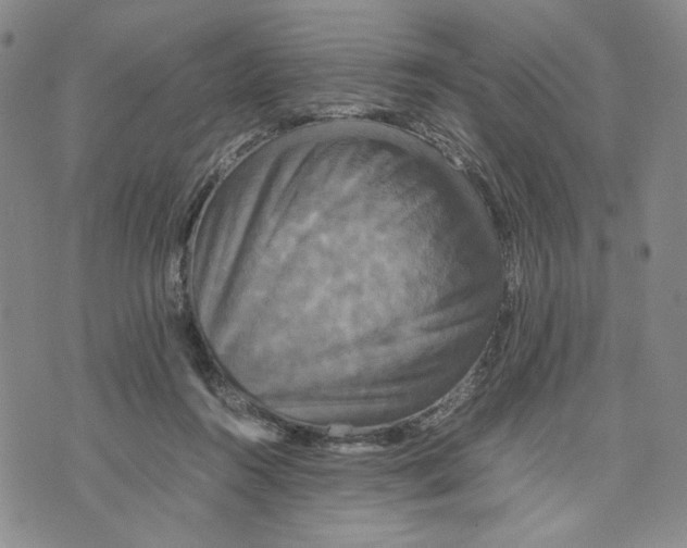 X0000070250360200606301631