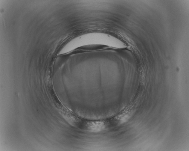 X0000070250361200606301631