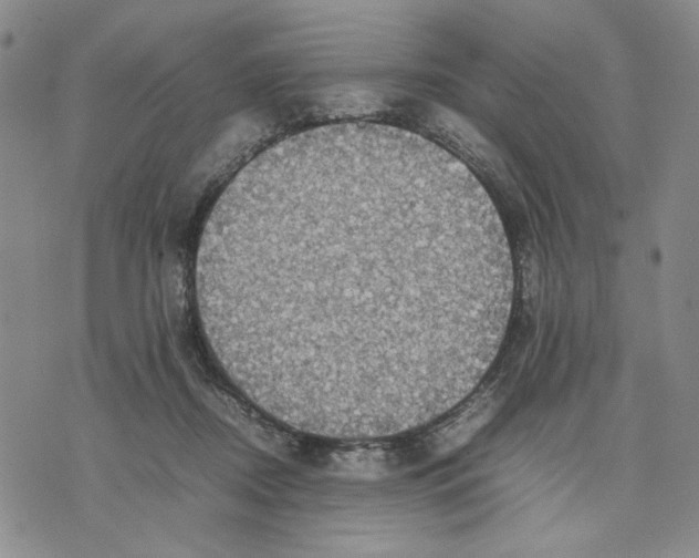 X0000070250362200606301631