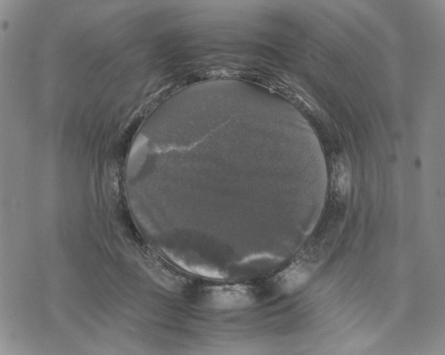 X0000070250363200606301632