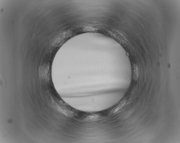 X0000070250364200606301632