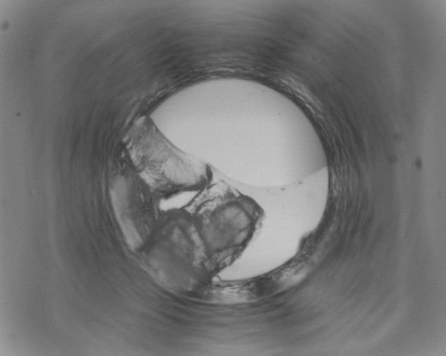 X0000070250365200606301632