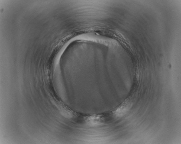 X0000070250366200606301632