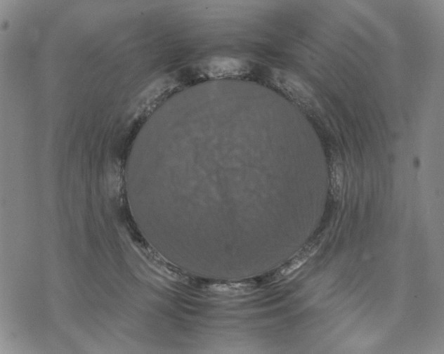 X0000070250367200606301632