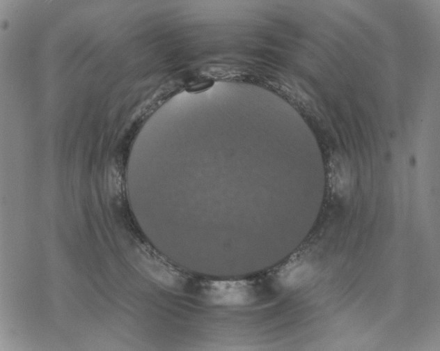 X0000070250371200606301632