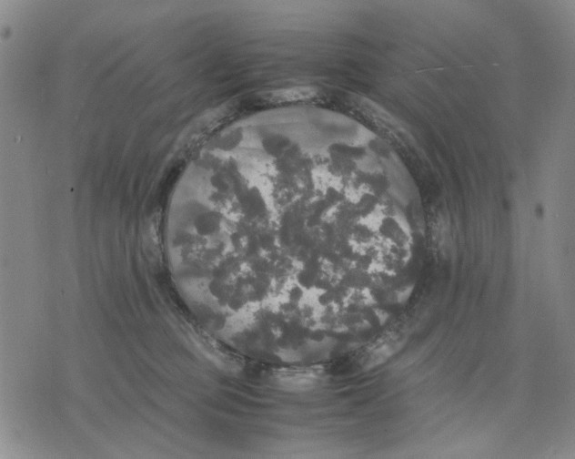 X0000070250373200606301632