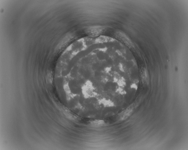 X0000070250374200606301632