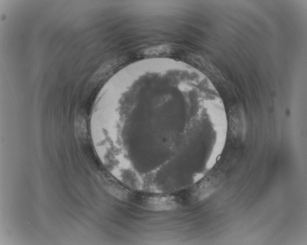 X0000070250375200606301632