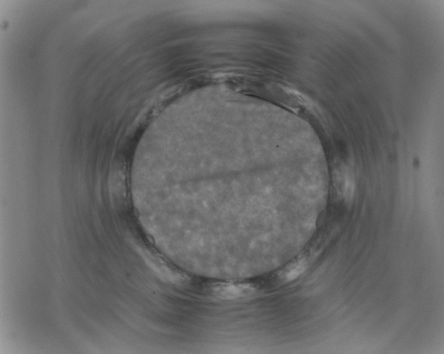 X0000070250379200606301632