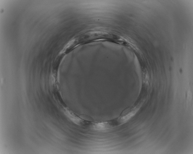 X0000070250382200606301632