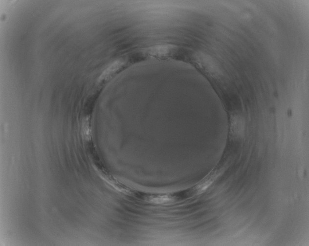 X0000070250383200606301632