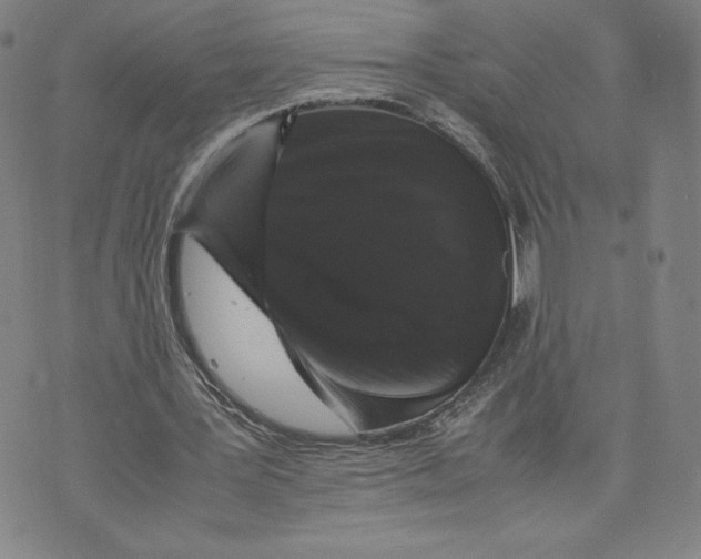 X0000070250387200606301631