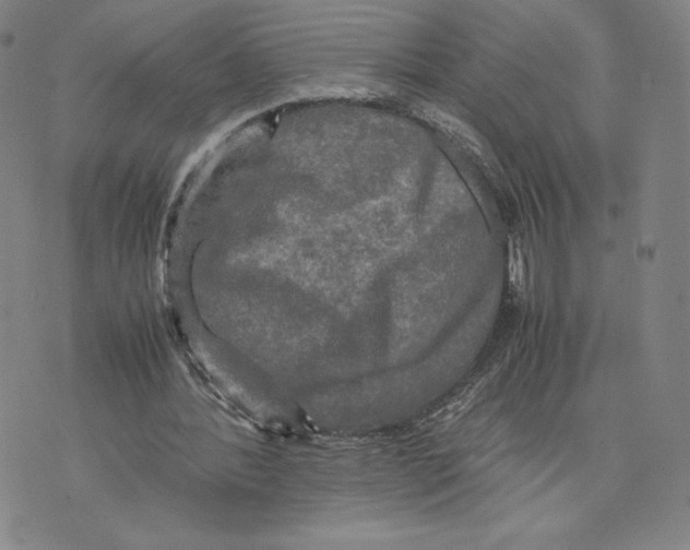 X0000070250388200606301631