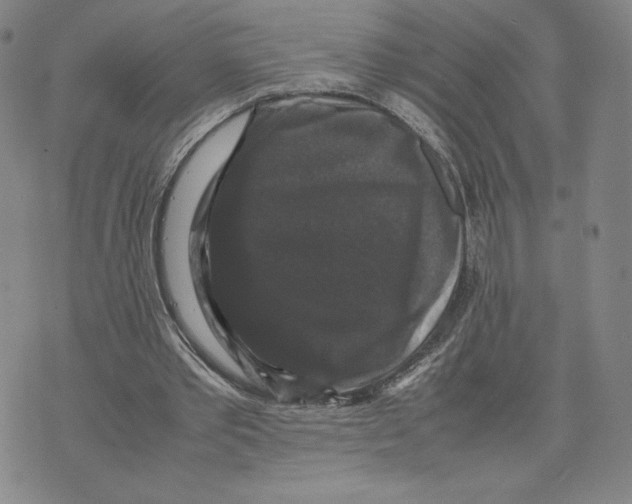 X0000070250389200606301631