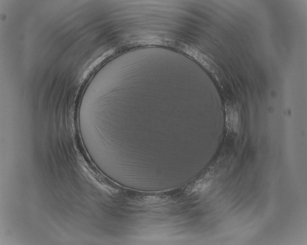 X0000070250390200606301631