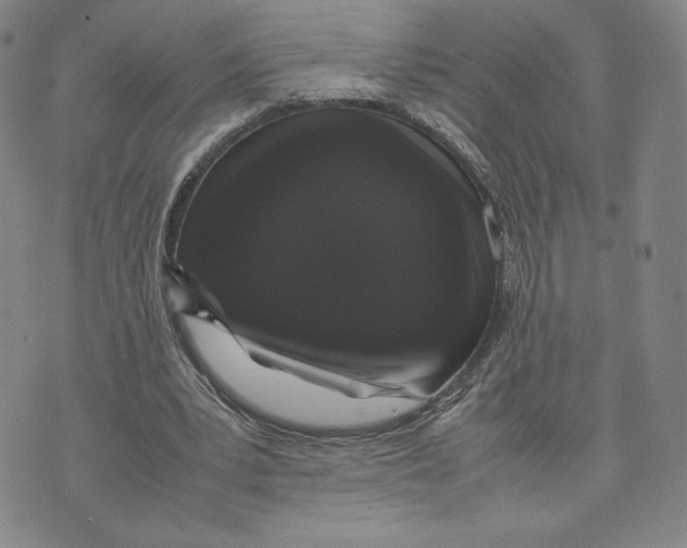 X0000070250391200606301631