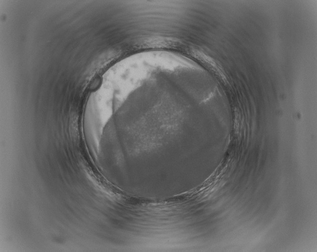 X0000070250394200606301631