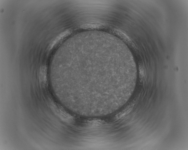 X0000070250396200606301631