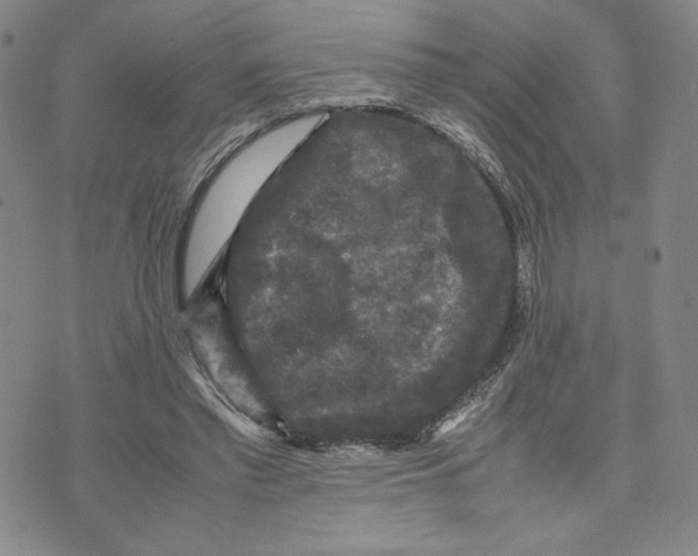 X0000070250397200606301631