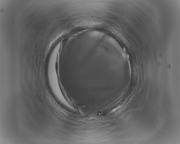 X0000070250399200606301631