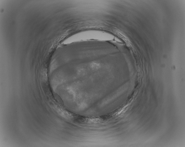 X0000070250401200606301631