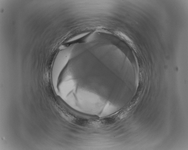 X0000070250405200606301631