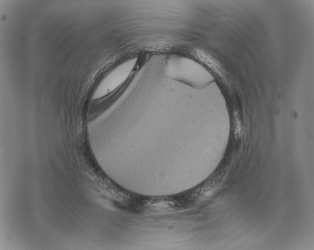 X0000070250407200606301631