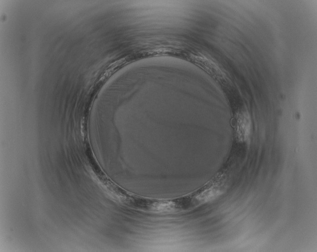 X0000070250410200606301631