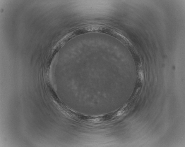 X0000070250411200606301631