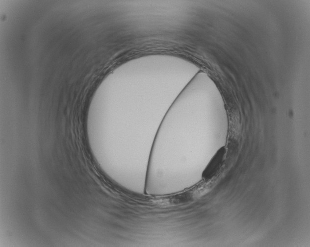 X0000070250413200606301631