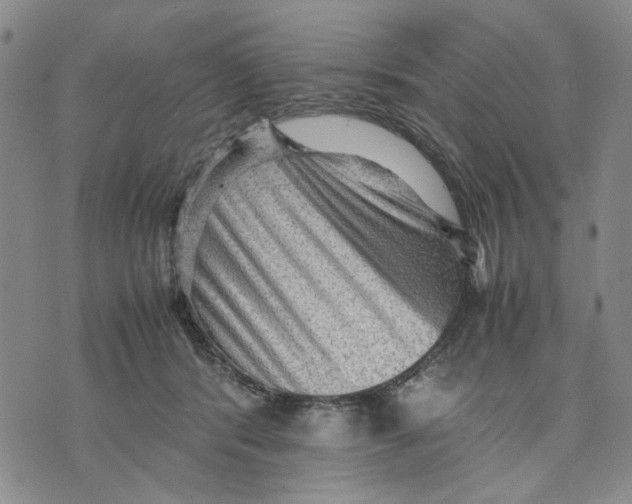 X0000070250416200606301631