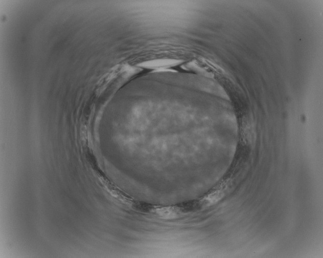 X0000070250417200606301631