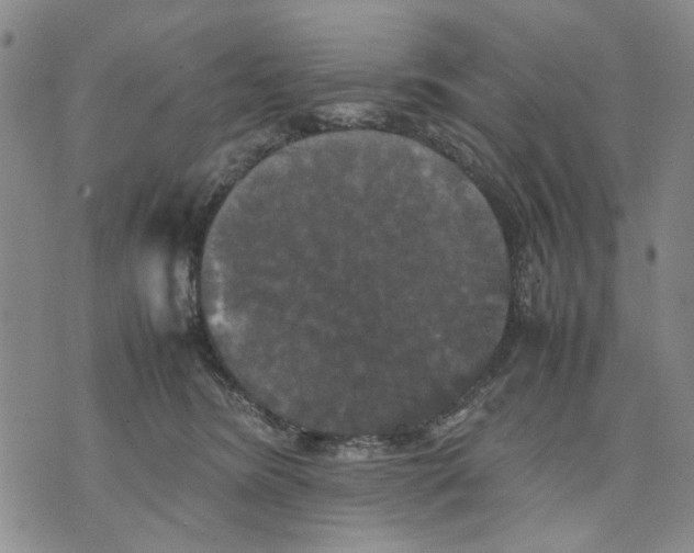 X0000070250420200606301631