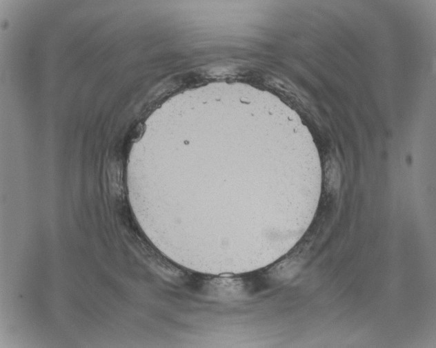 X0000070250421200606301630