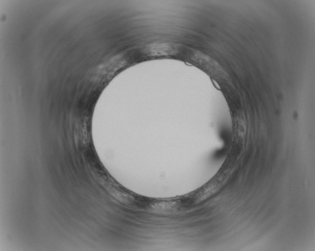 X0000070250422200606301630