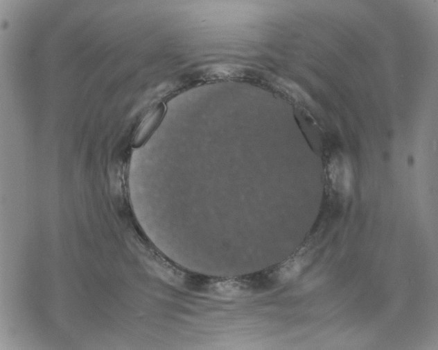 X0000070250423200606301630