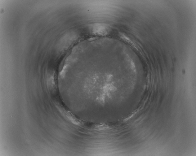 X0000070250424200606301630