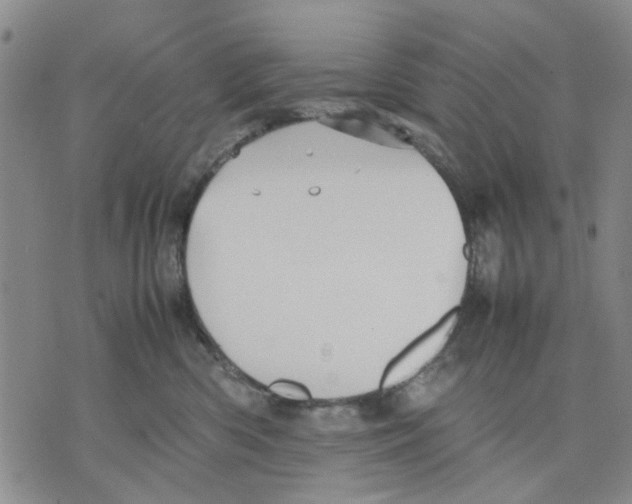 X0000070250426200606301630