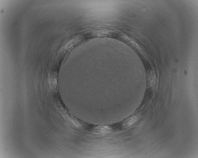 X0000070250427200606301630