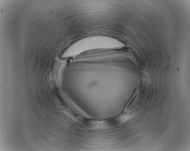 X0000070250428200606301630