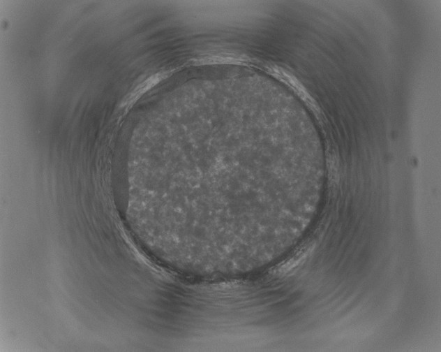 X0000070250433200606301630