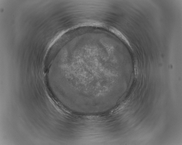 X0000070250436200606301630